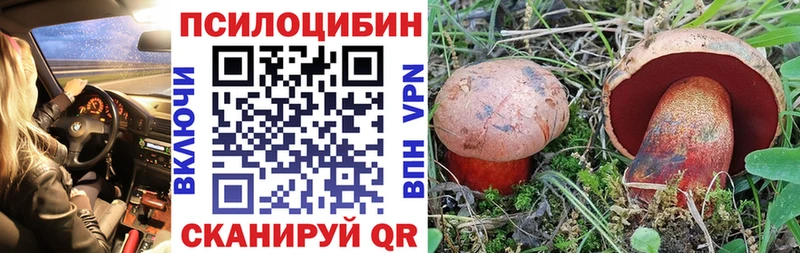kraken рабочий сайт Валуйки Псилоцибиновые грибы MAGIC MUSHROOMS наркошоп